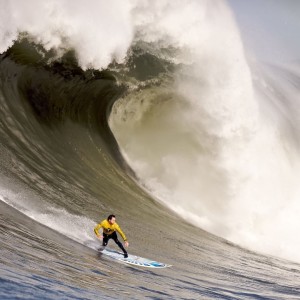 开云体育-阿扎伦卡与新星闪耀，雄鹿未来可期，防守如何定义运动赛场？跨越网与球场的防守双城记，阿扎伦卡的智慧与雄鹿队的未来